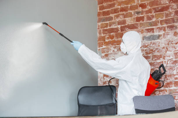Best Mold-Related Health Consultation  in Flourtown, PA